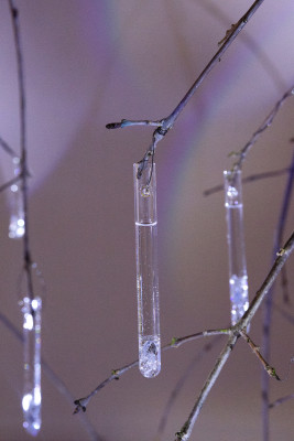 20251017 JULIANORDHOLZ 10