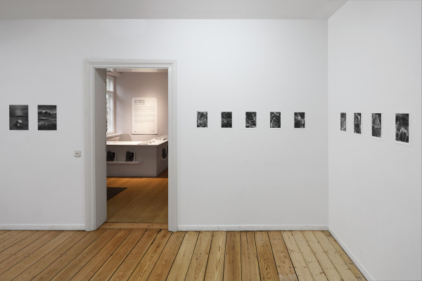Sennekamp3