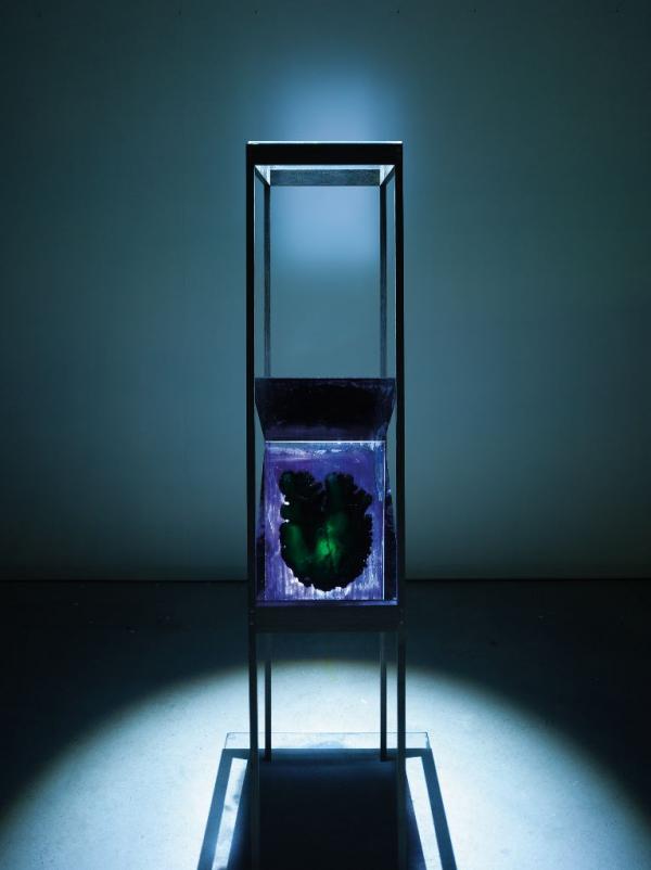 Installation lily wittenbur foto felix krebs 766x1024